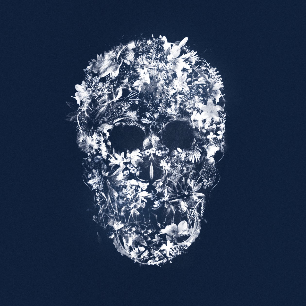 FloralSkull by Teis Albers