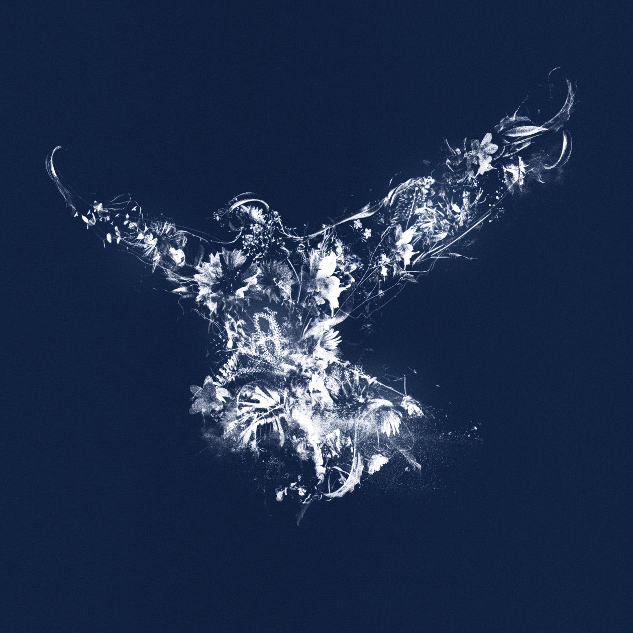 In Flight by Teis Albers