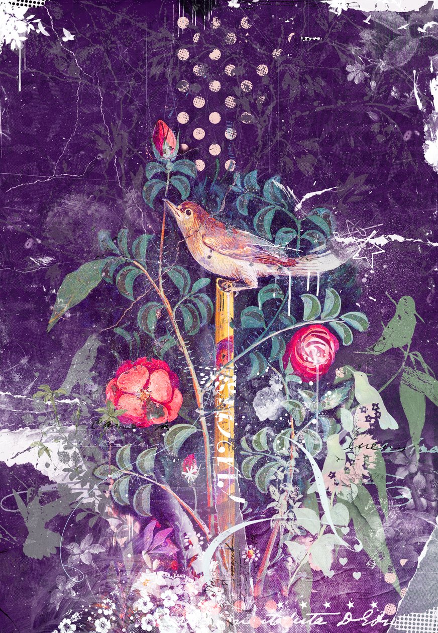 Pompeii Bird, 2014 by Teis Albers