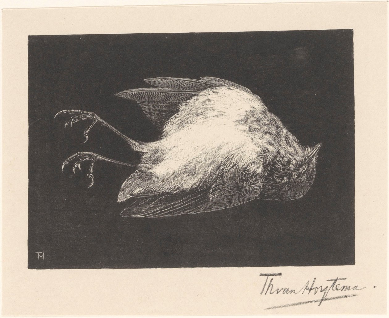 Dead Robin by Theo van Hoytema