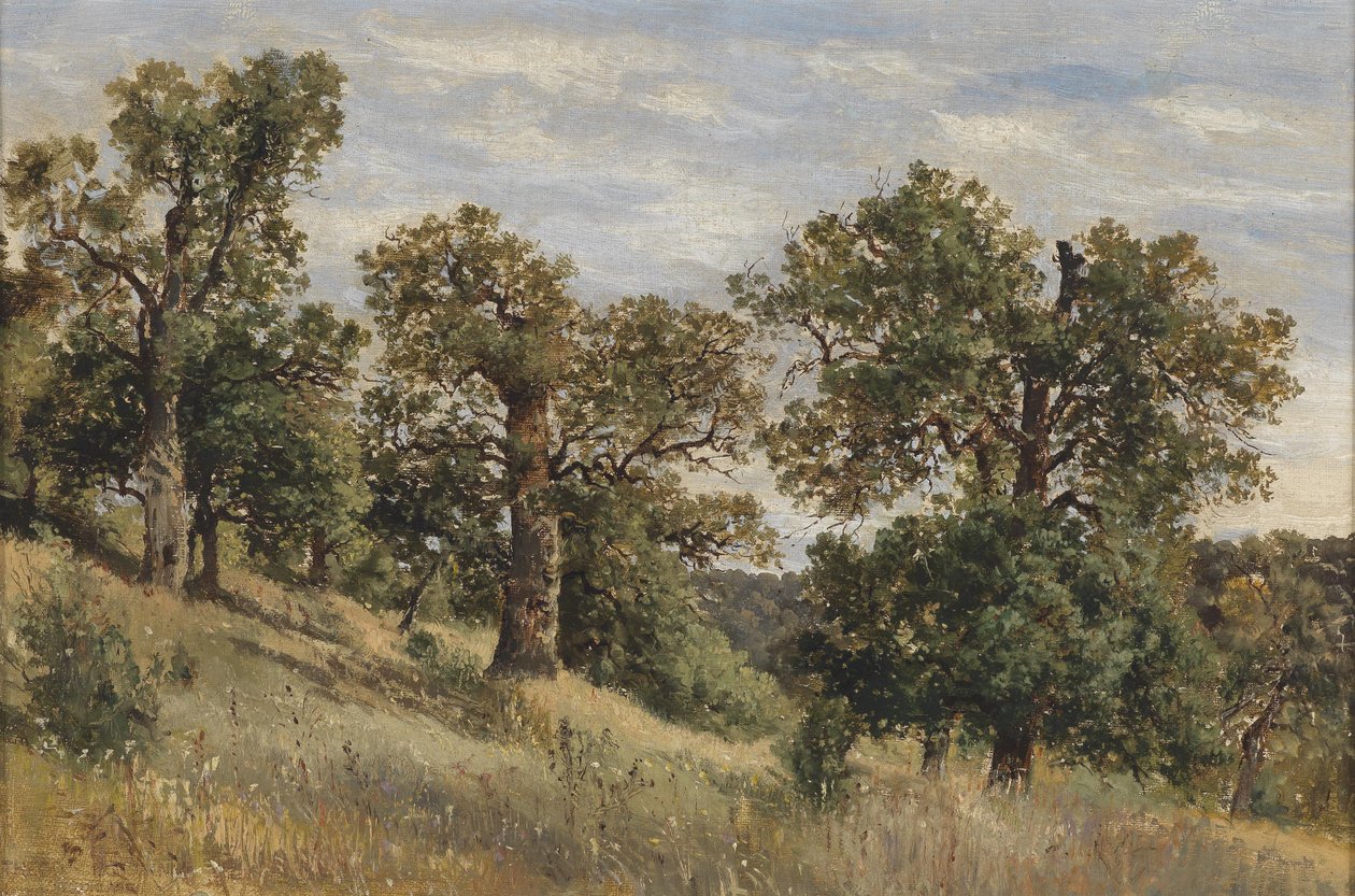 Hillside with Tree by Theodor von Hormann