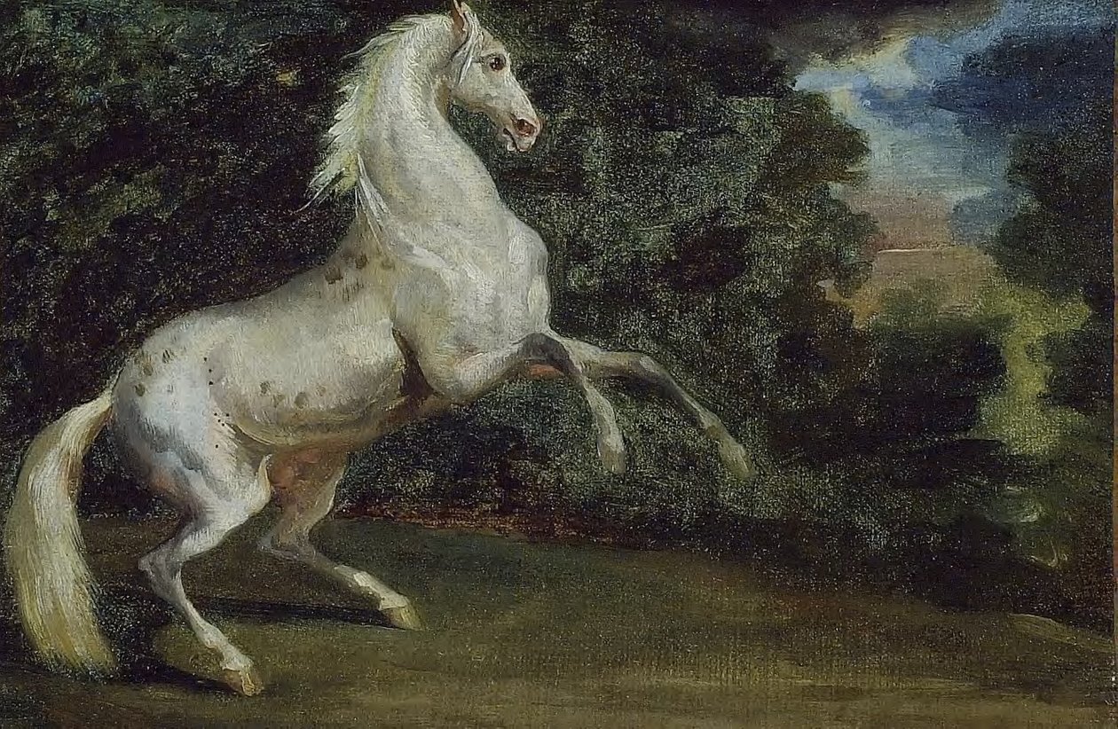 Prancing Horse by Theodore Gericault