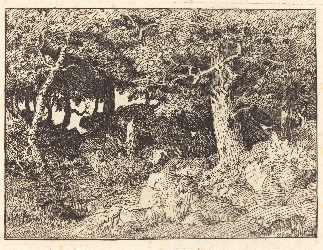 Rock Oaks by Theodore Rousseau