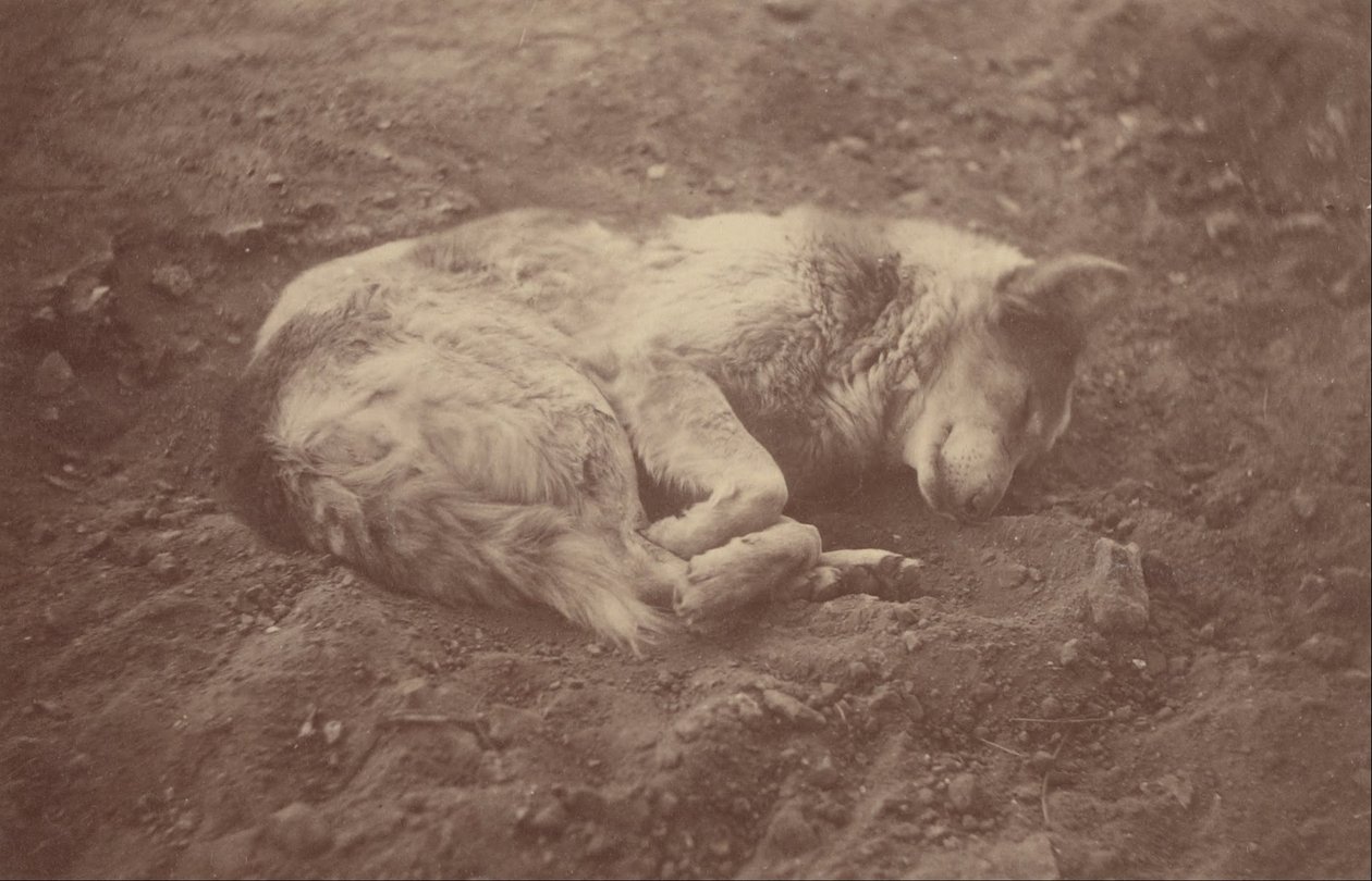 Sleeping Dog by Théodule Devéria