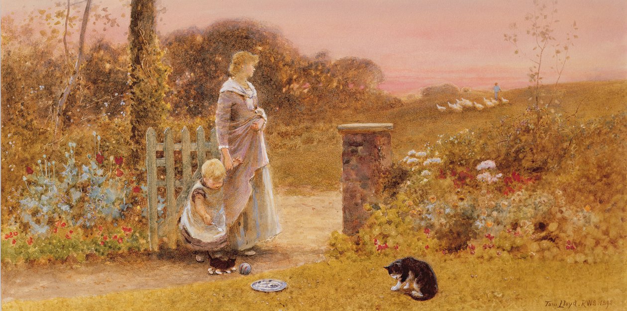 Evening by Thomas James Lloyd