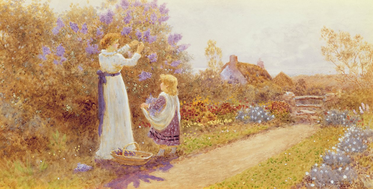 Lilacs by Thomas James Lloyd