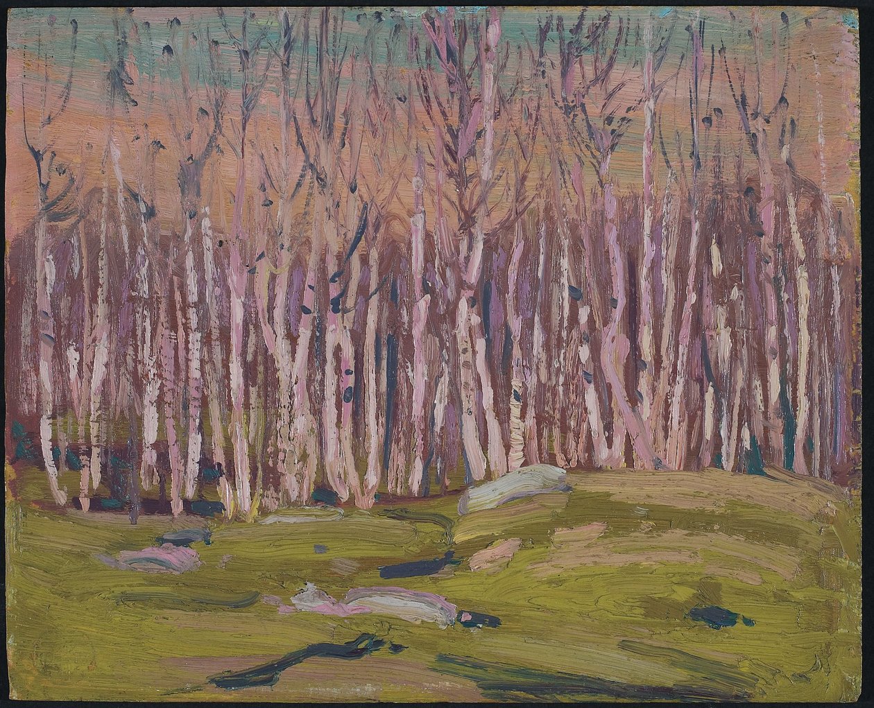 Silver Birches by Tom Thomson