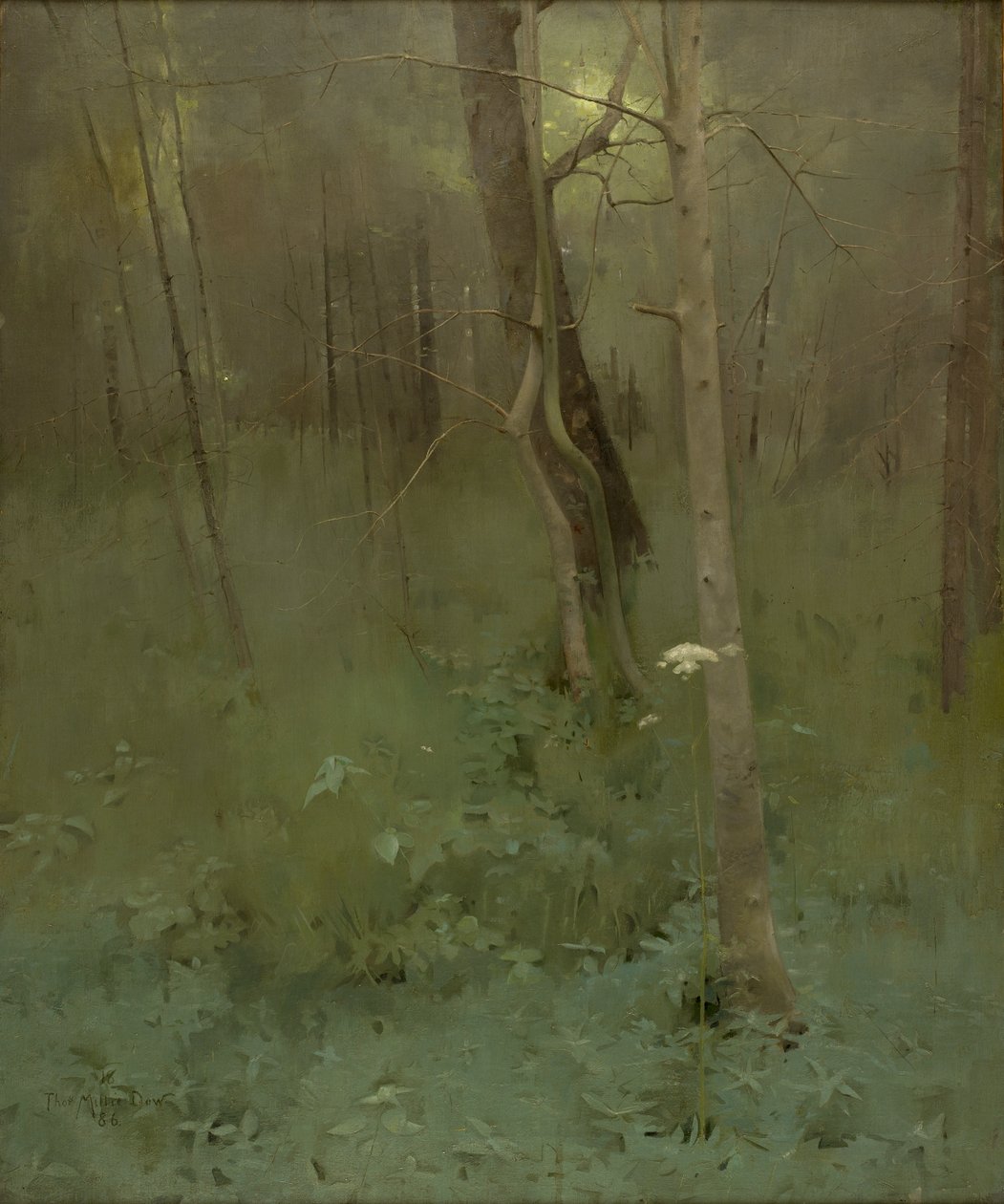 Trees by Thomas Millie Dow