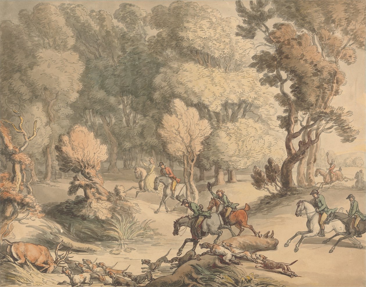 Stag at Bay by Thomas Rowlandson