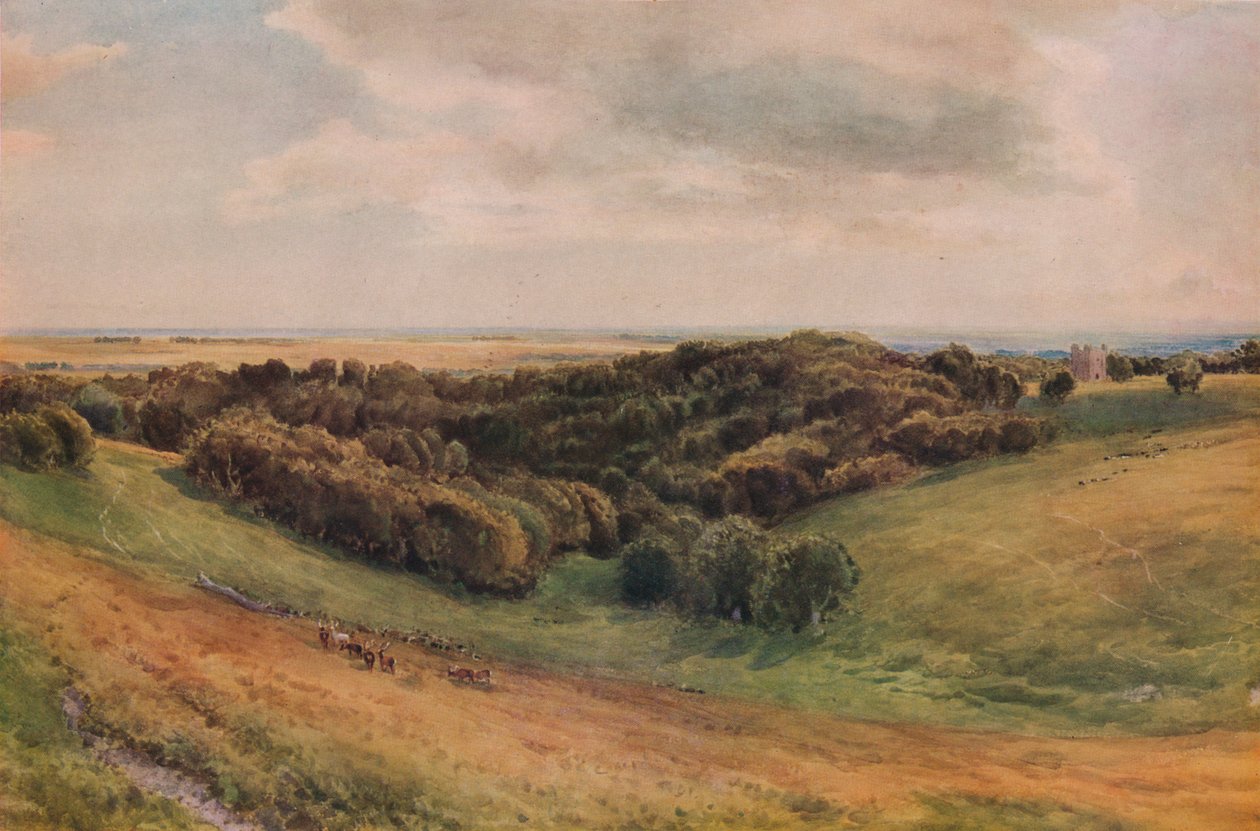 Arundel Park by Thomas Collier