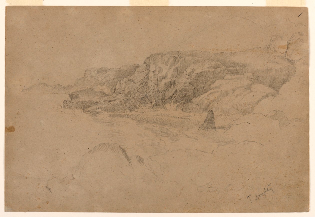 Study from Nature by Thomas Doughty