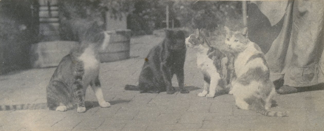 Four Cats, ca. 1895 by Thomas Eakins