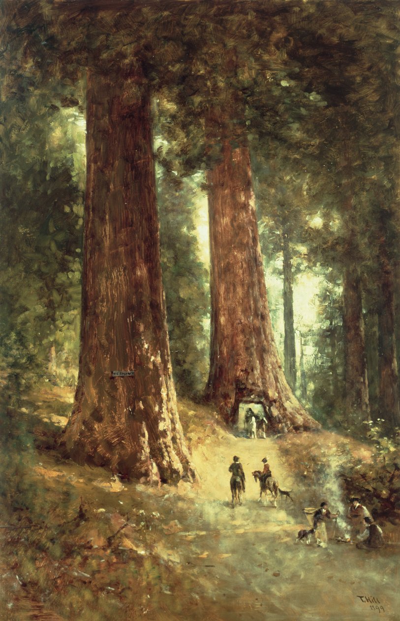 In the Redwoods by Thomas Hill