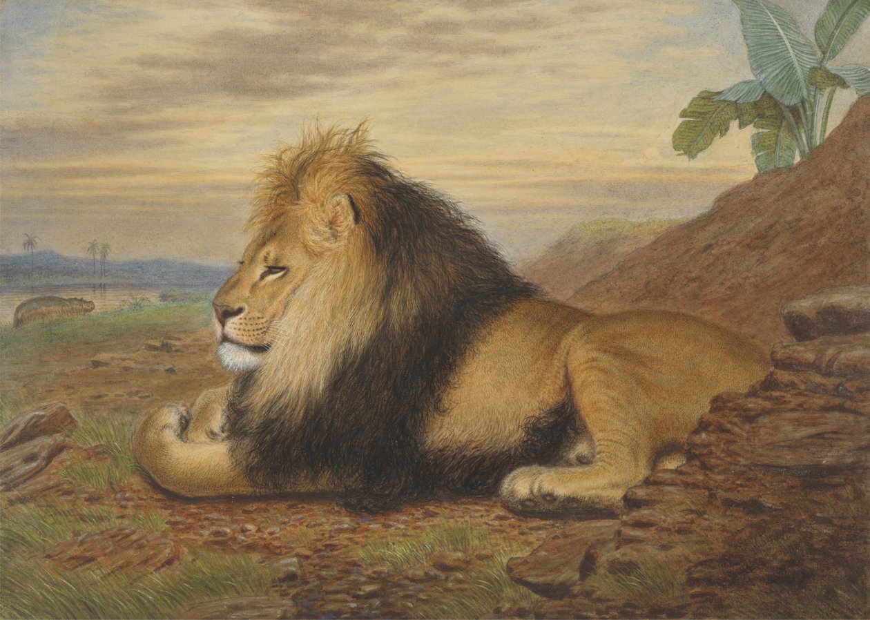 A Lion by Thomas William Wood