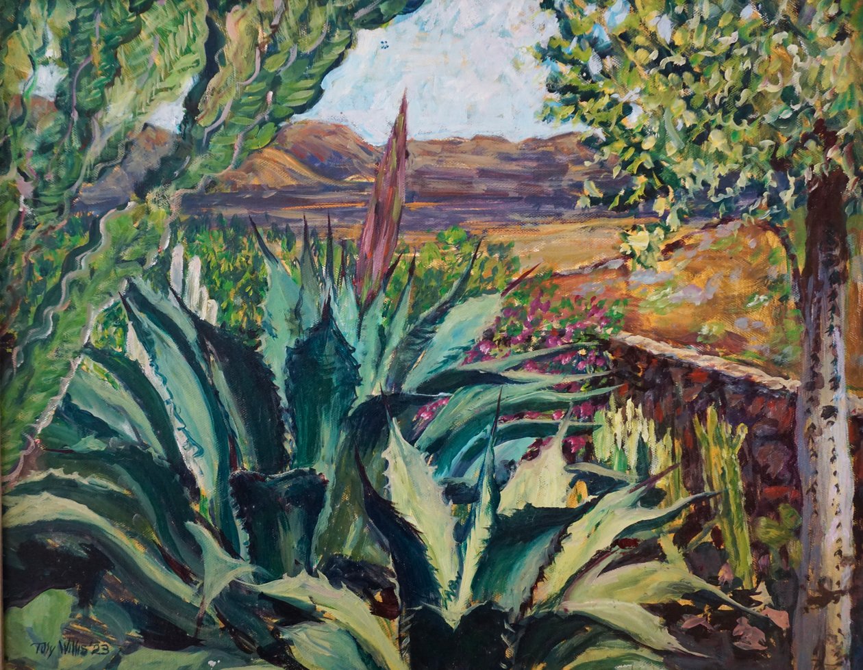 Lanzarote Landscape by Tilly Willis