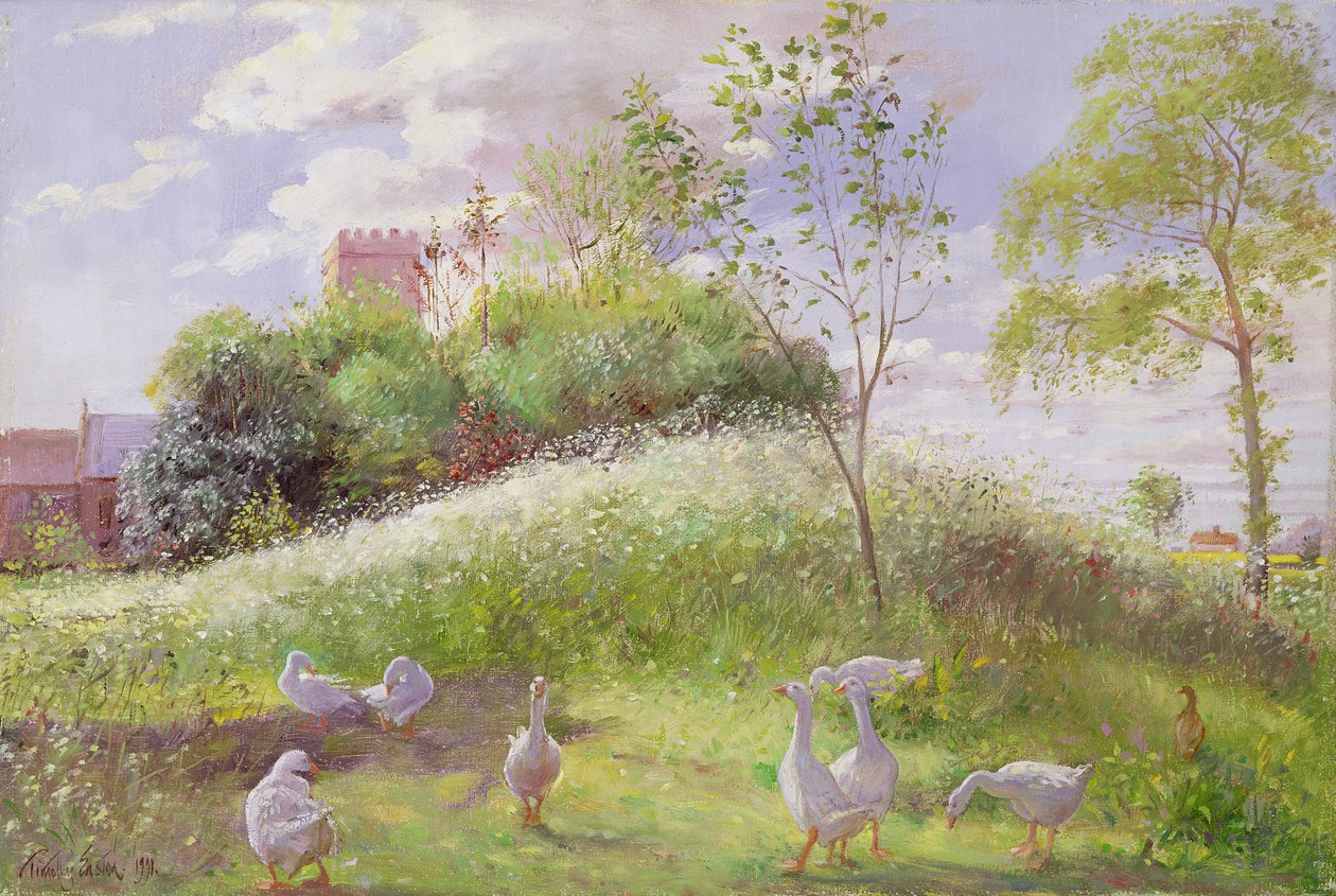 May Mount, 1991 by Timothy Easton
