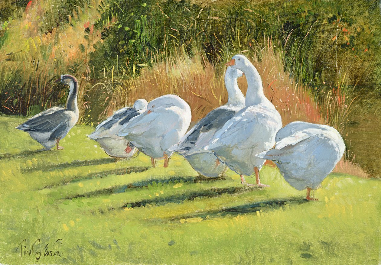 Moat Edge, Bedfield by Timothy Easton
