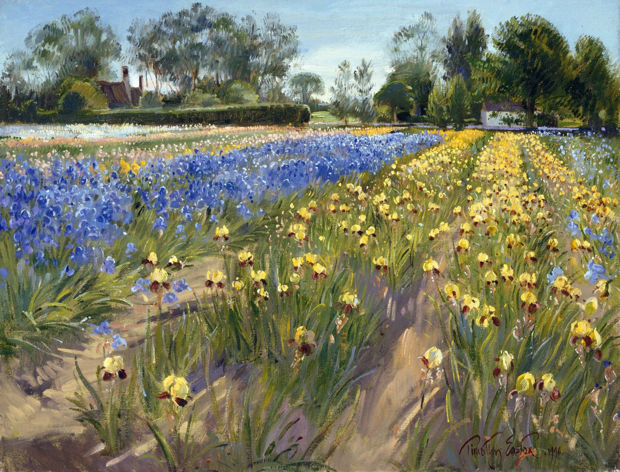 Towards the White Barn, 1996 by Timothy Easton