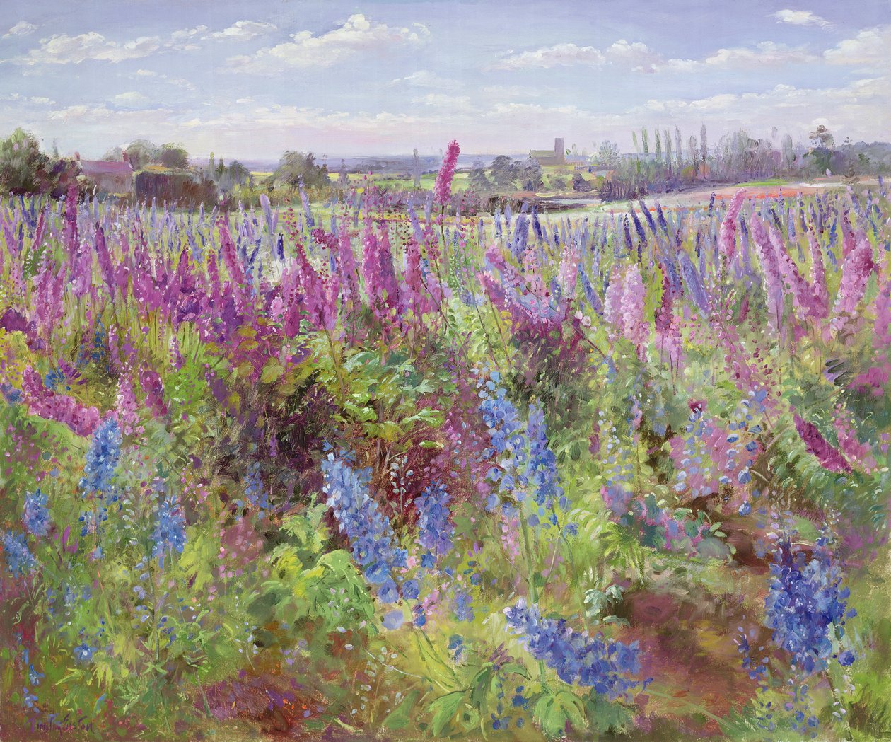 Delphinium Field and Church by Timothy Easton