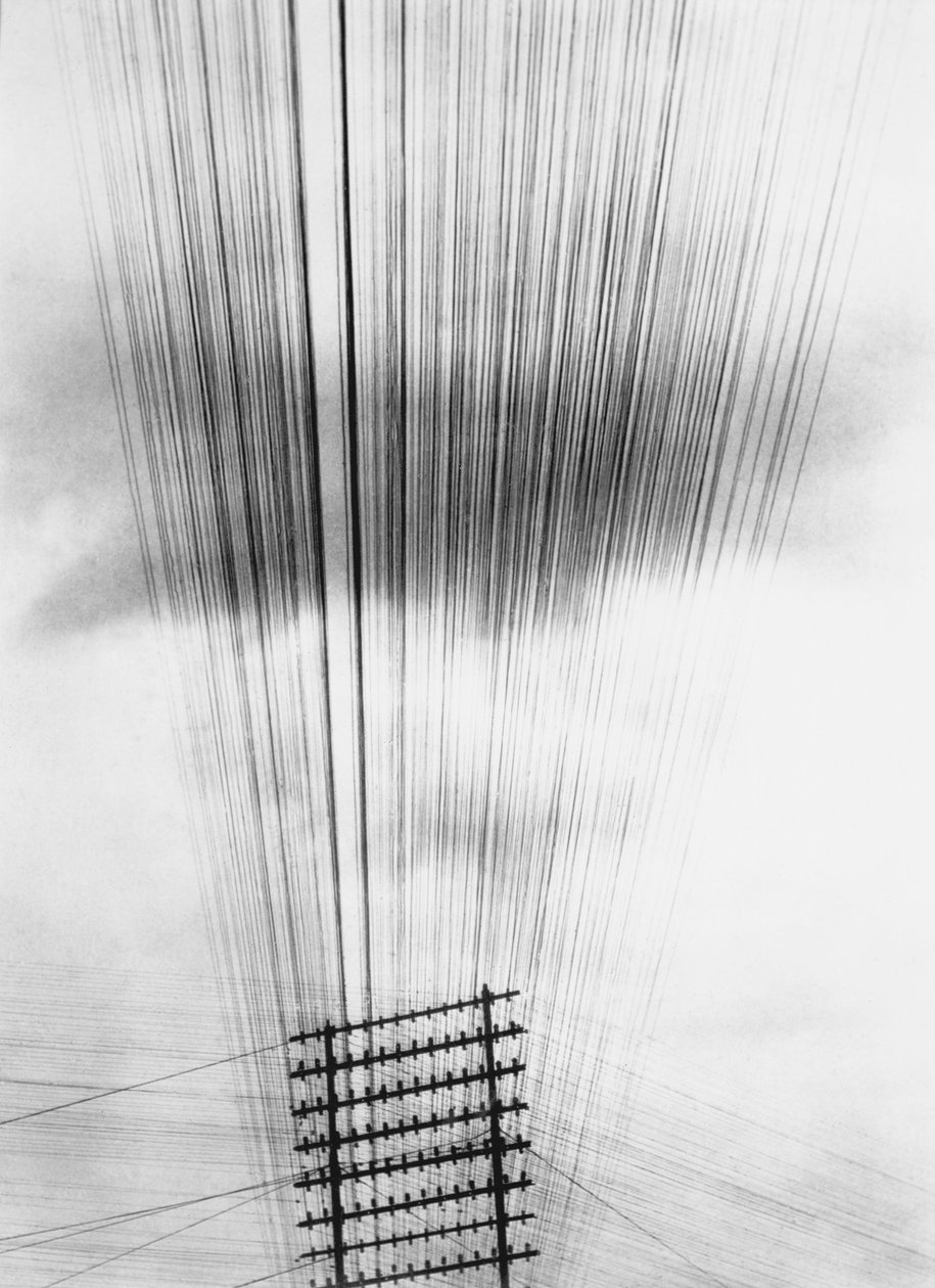 Telephone Wires, Mexico by Tina Modotti