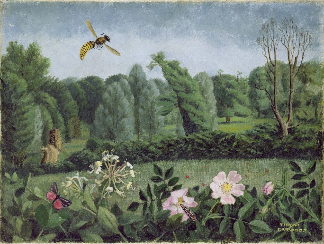 Hornet and Wild Rose by Tirzah Ravilious