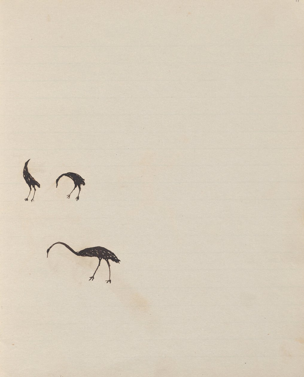 Birds by Tommy McRae