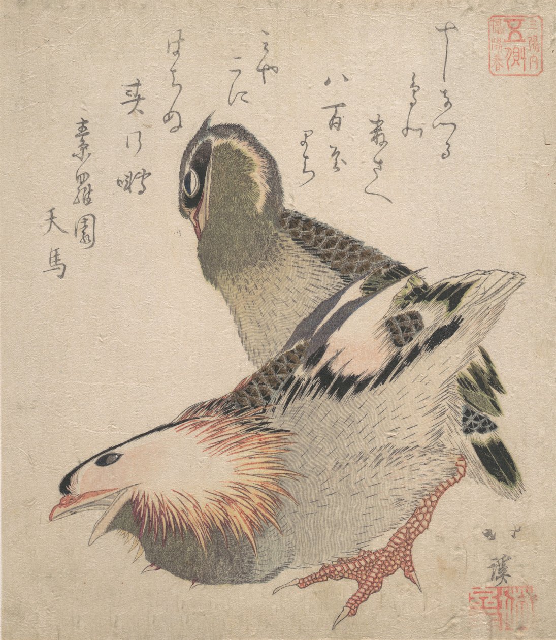 Two Birds by Totoya Hokkei