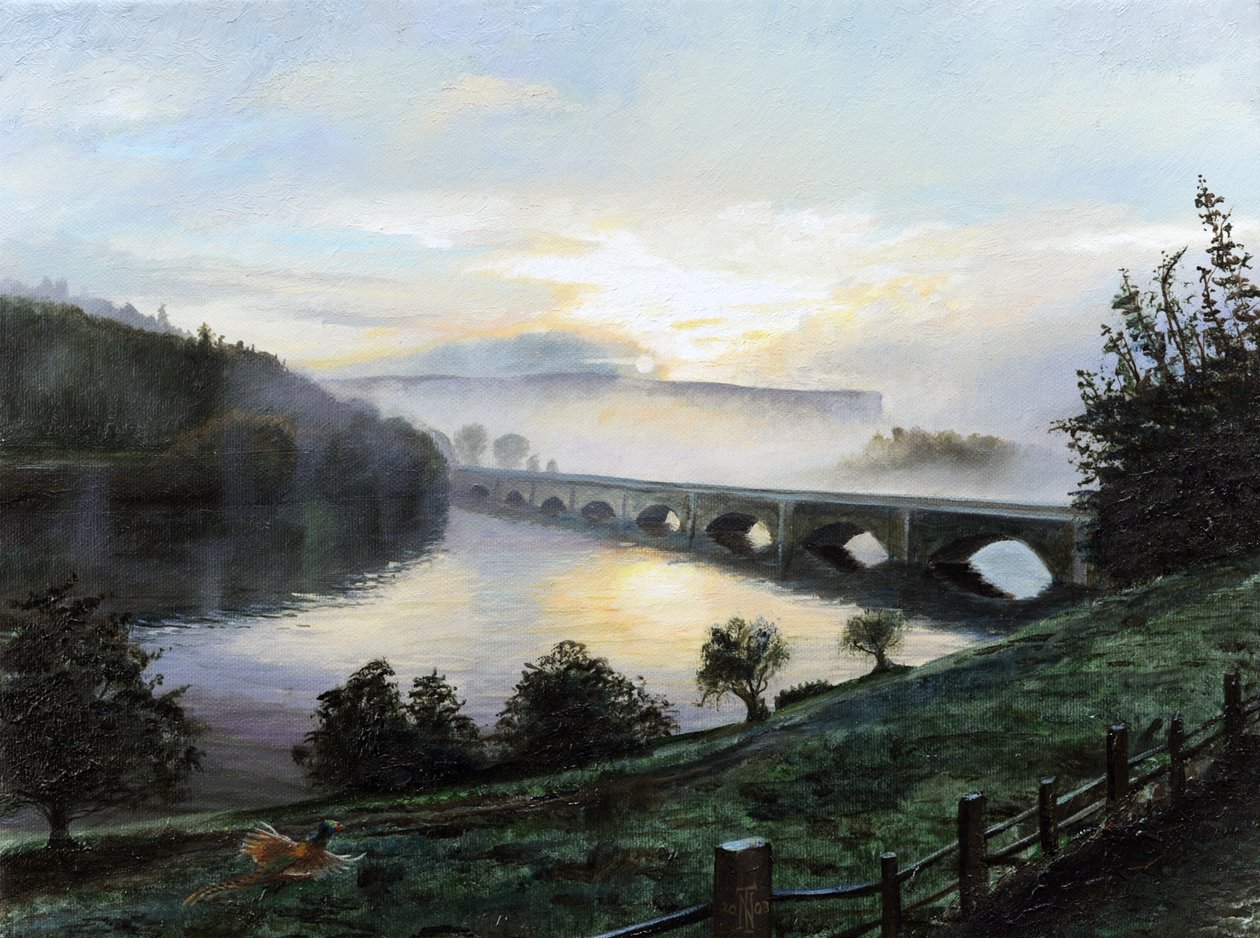 Early Morning Mist by Trevor Neal