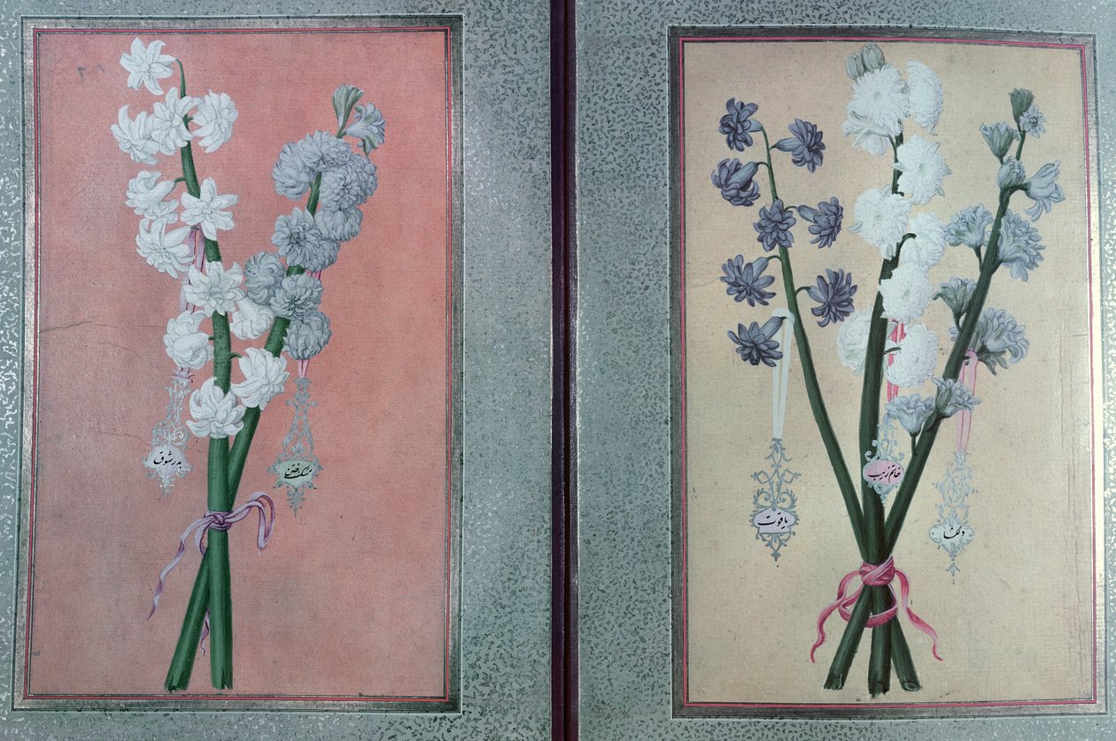 Two Hyacinths, 1736 by Turkish School