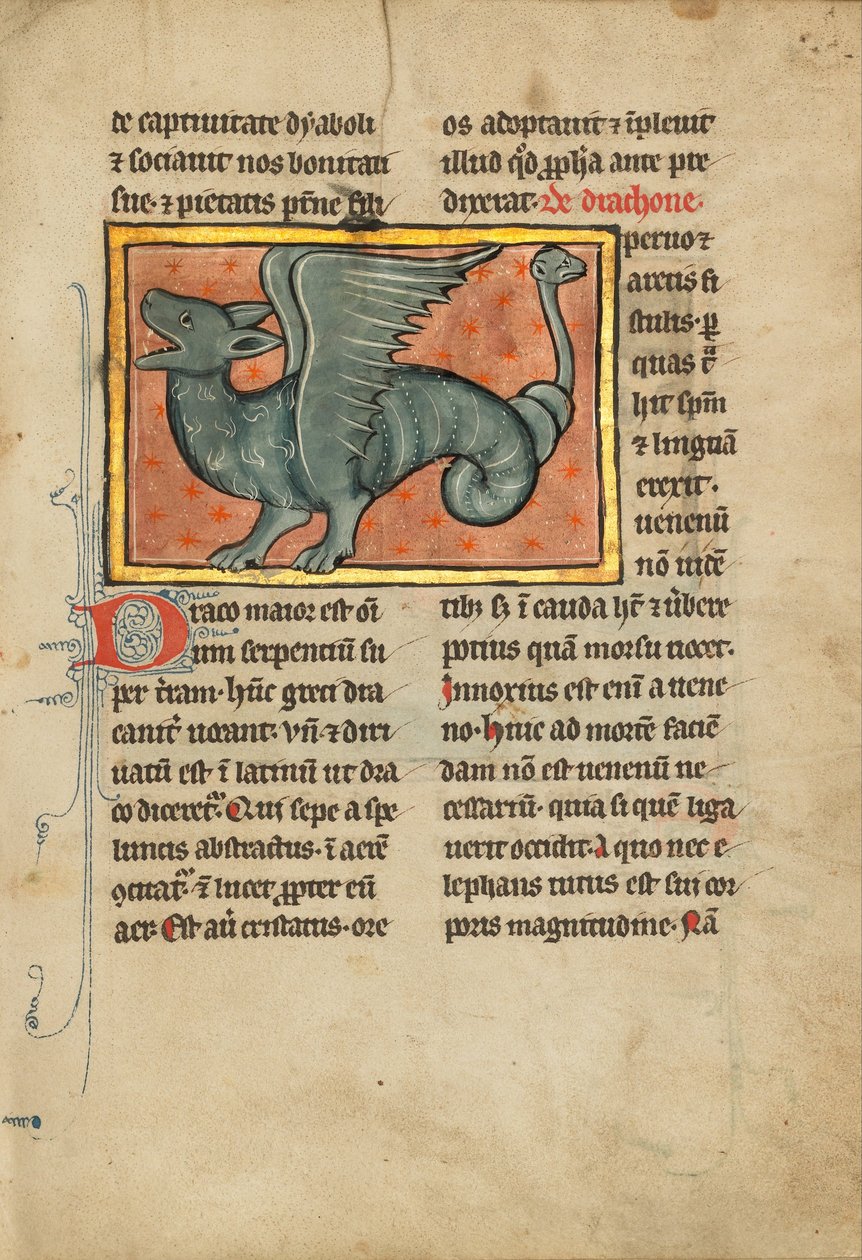 A Winged Dragon by Unbekannt Unbekannt