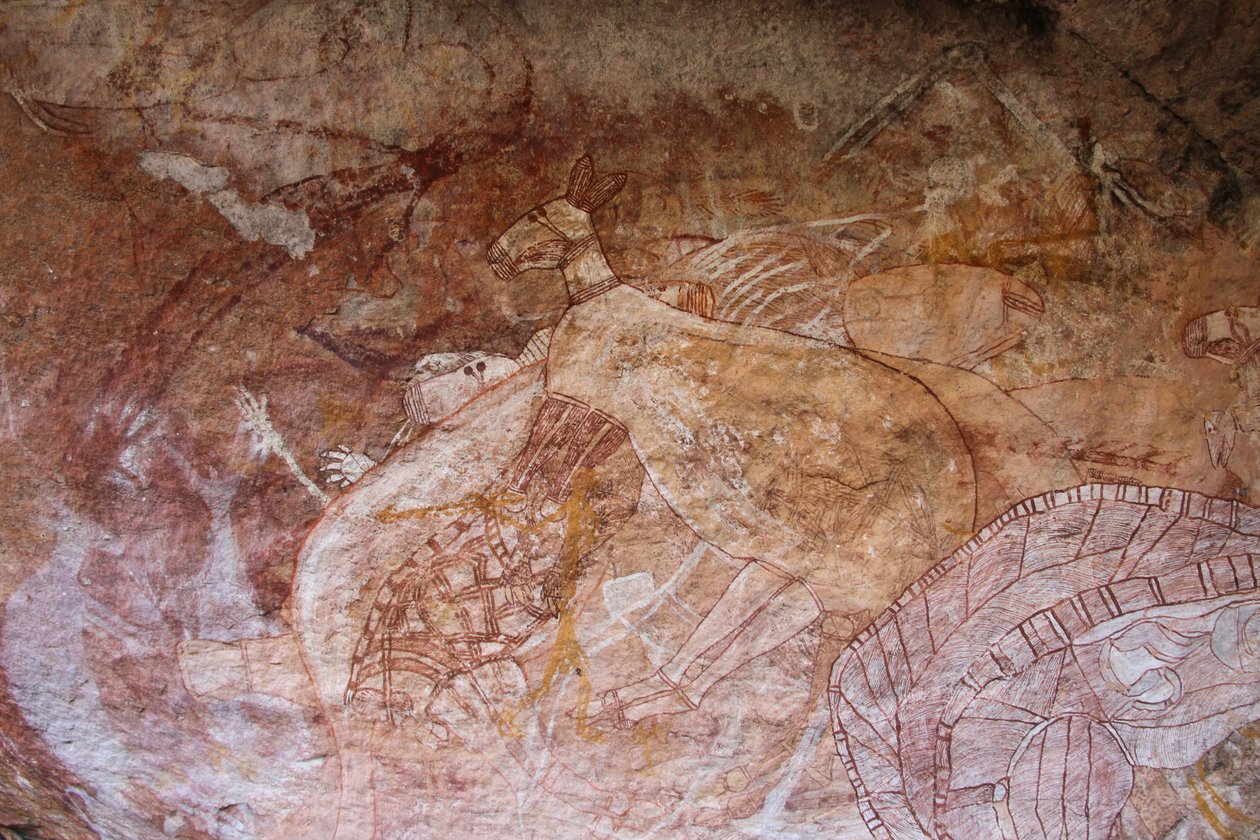 Kangaroos by Unbekannt Unbekannt