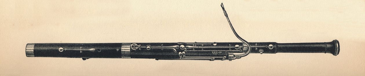 Bassoon by Unbekannt