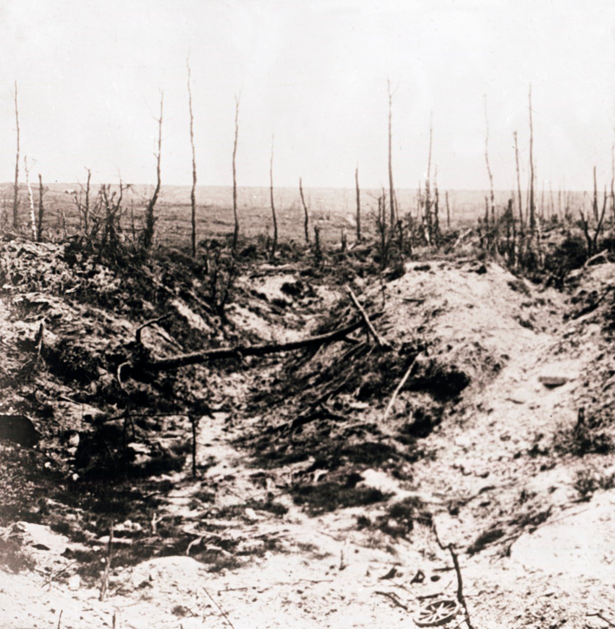 Battlefield, c. 1914-1918 by Unbekannt