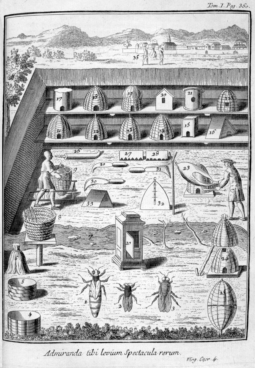 Beekeeping by Unbekannt