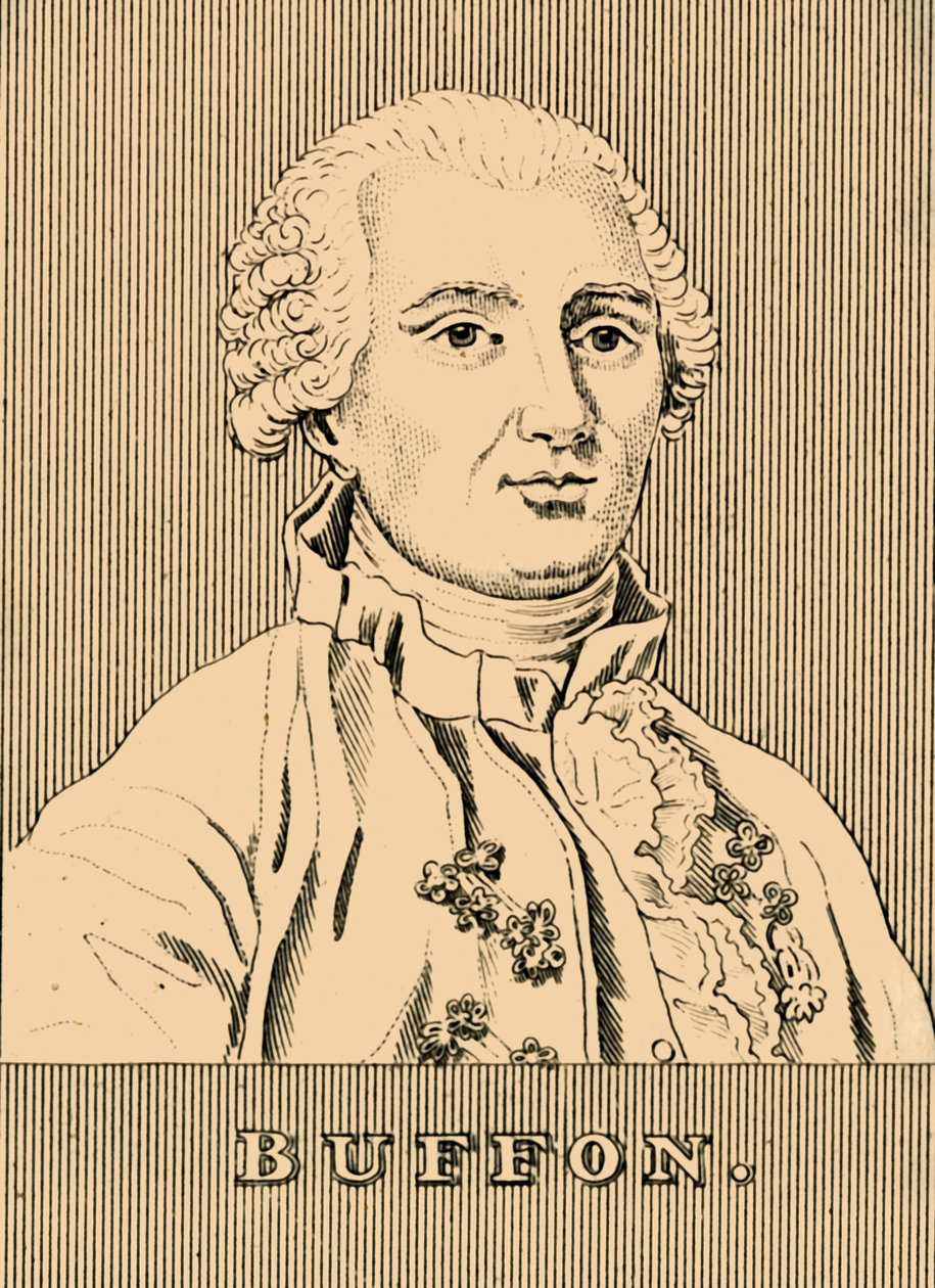Buffon, 1830 by Unbekannt