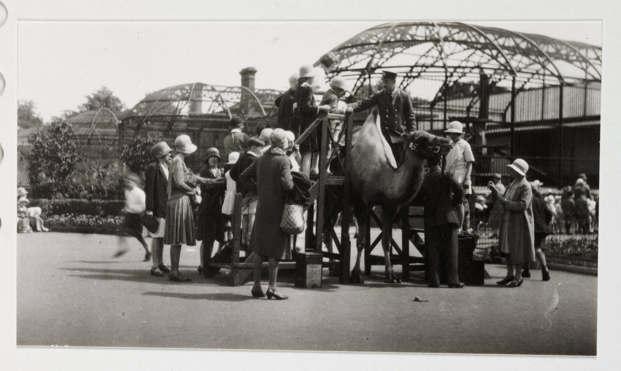 Camel ride, c 1930 by Unbekannt