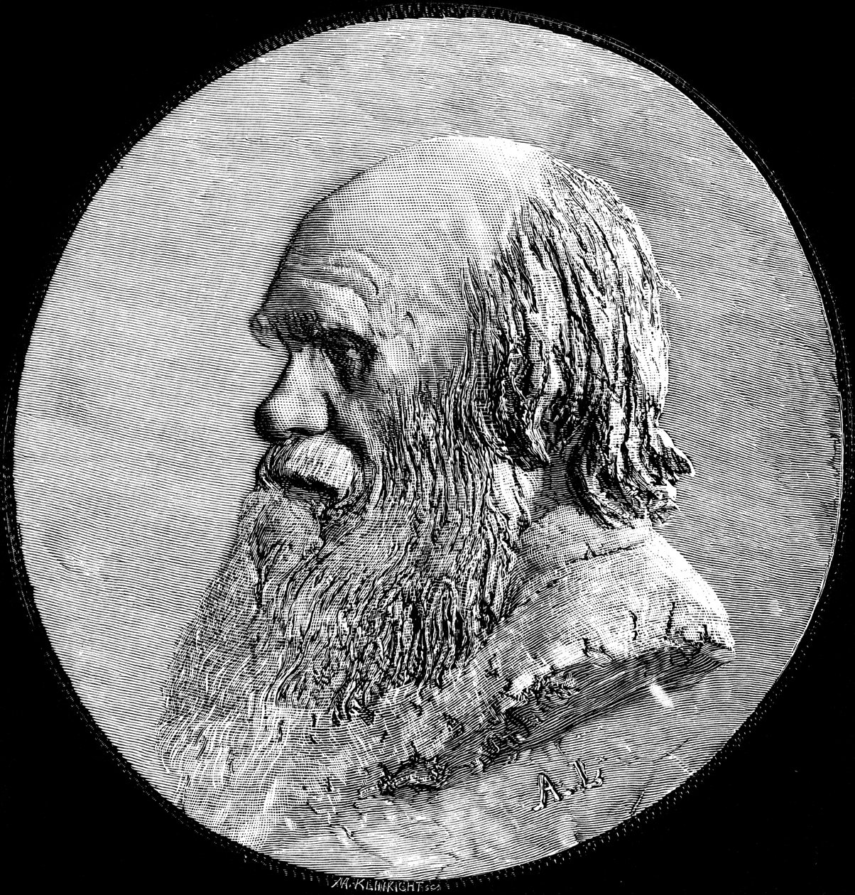 Charles Darwin by Unbekannt