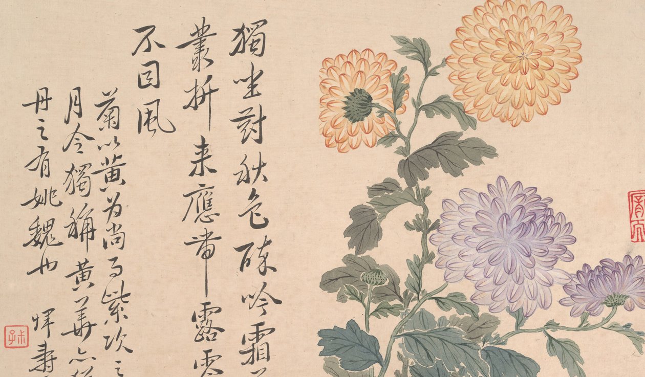Chrysanthemums by Unbekannt