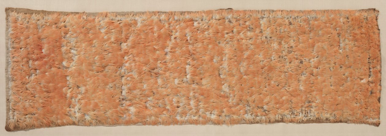 Feathered Panel, 600-1500 by Unbekannt