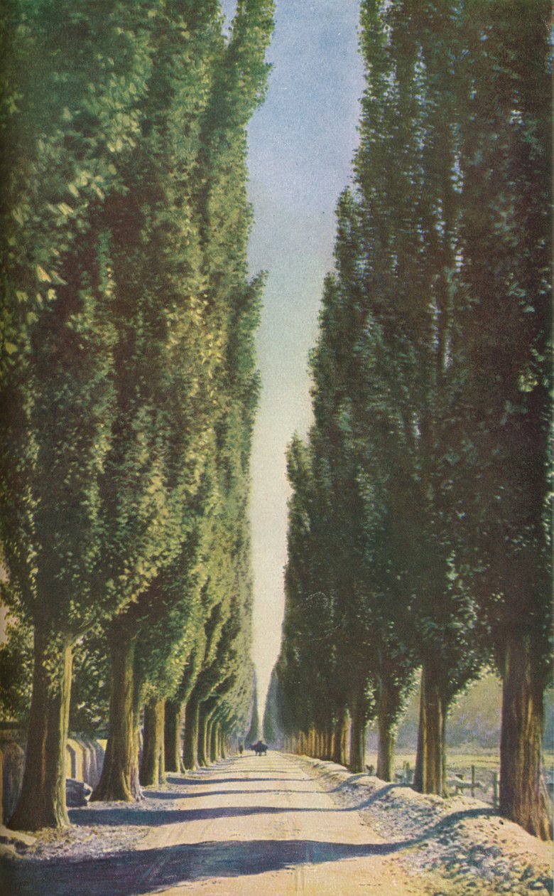 France by Unbekannt