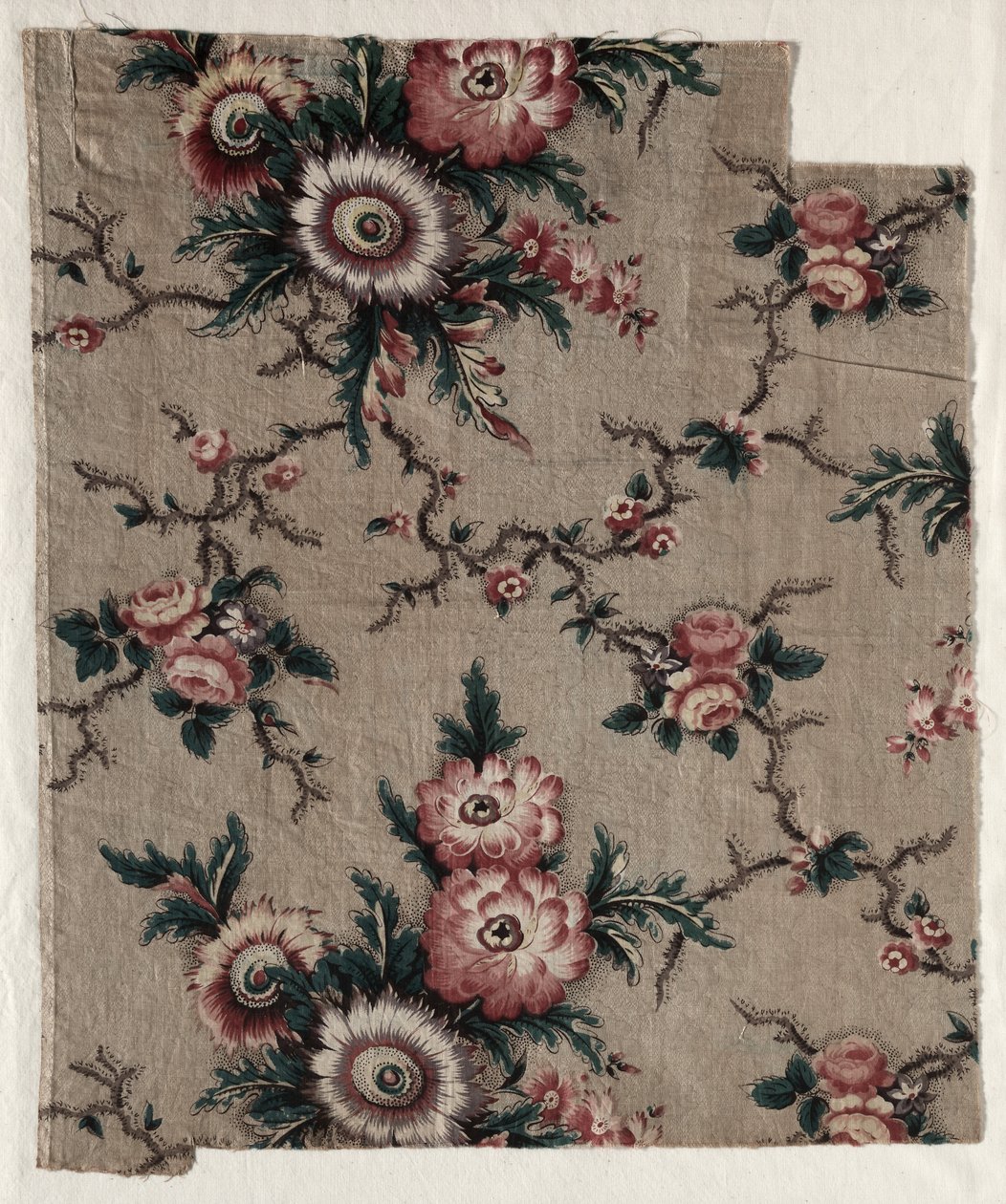 Glazed Chintz Fragment by Unbekannt