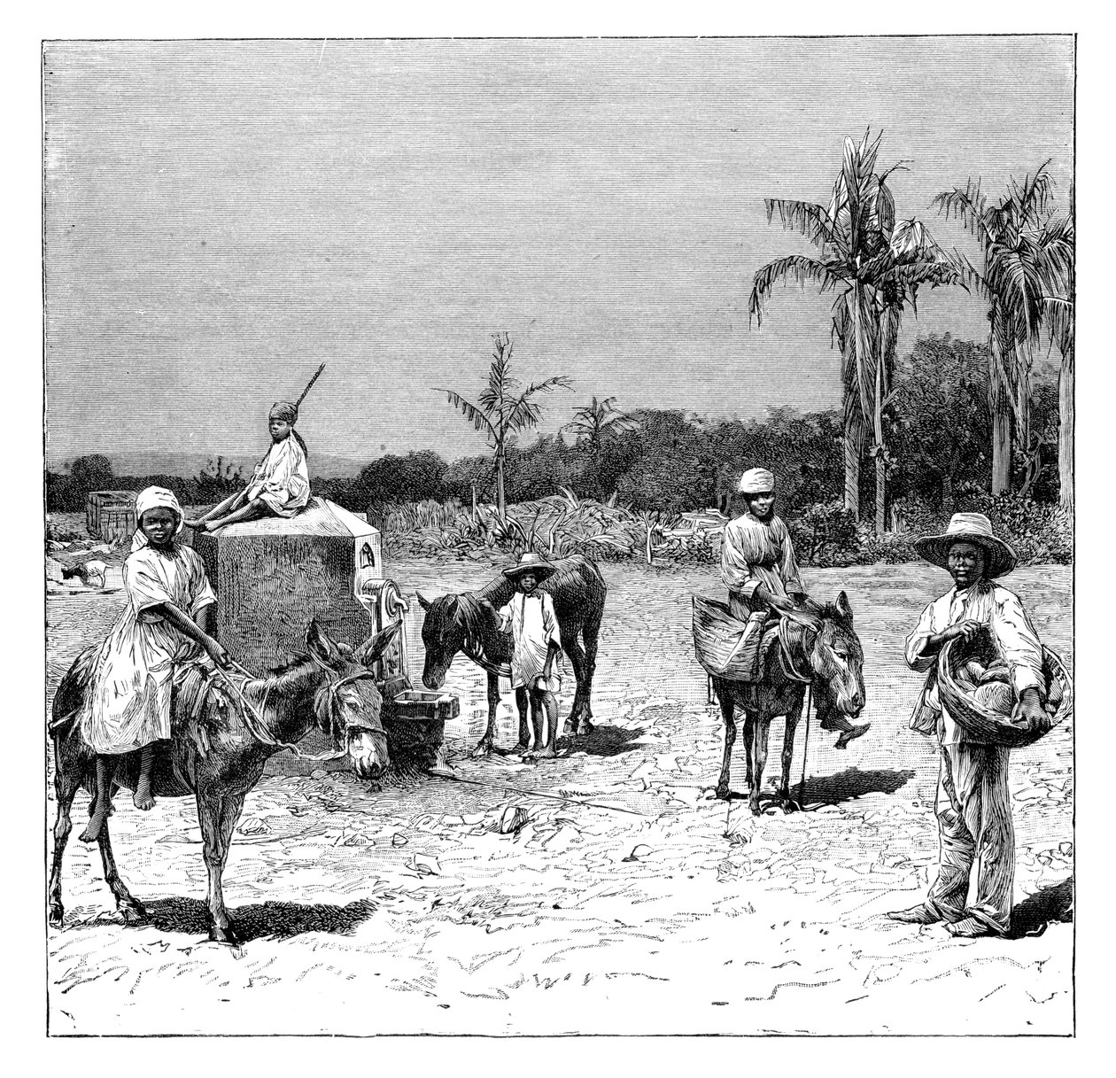 Group of Haitians, c1890 by Unbekannt