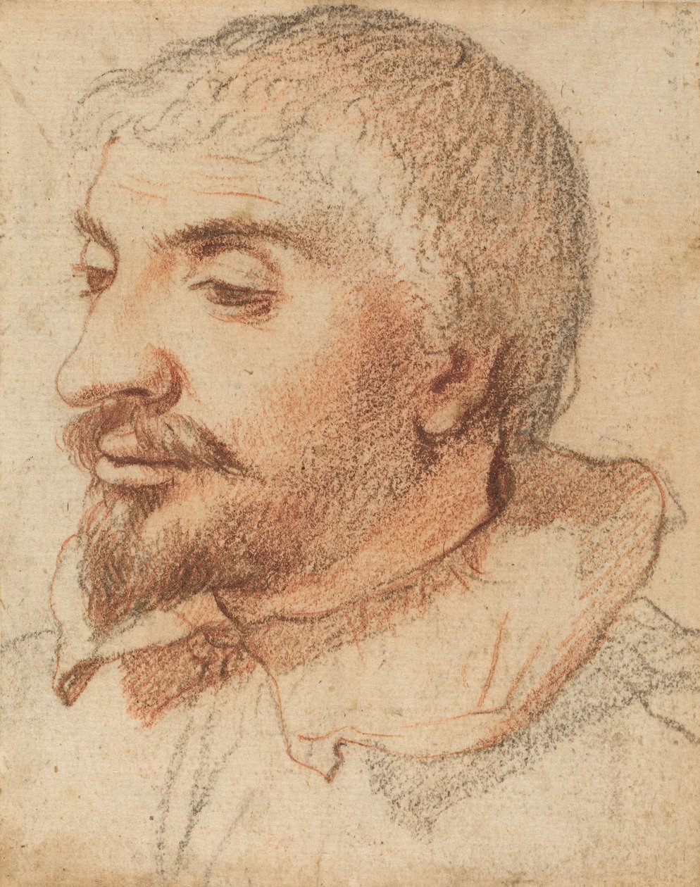 Head of a Man by Unbekannt