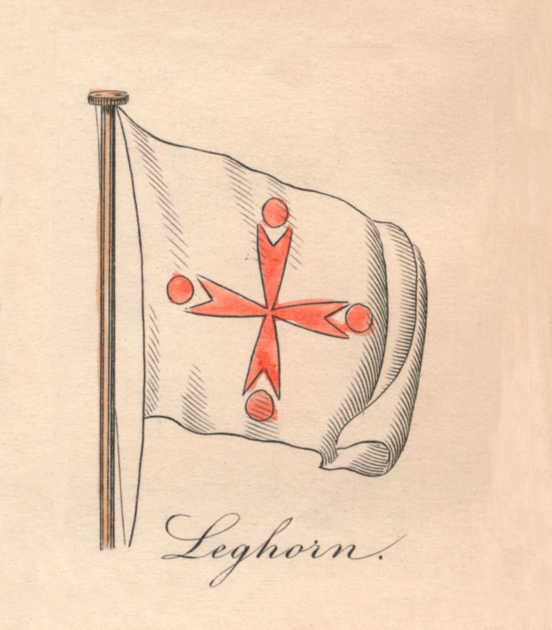 Leghorn by Unbekannt