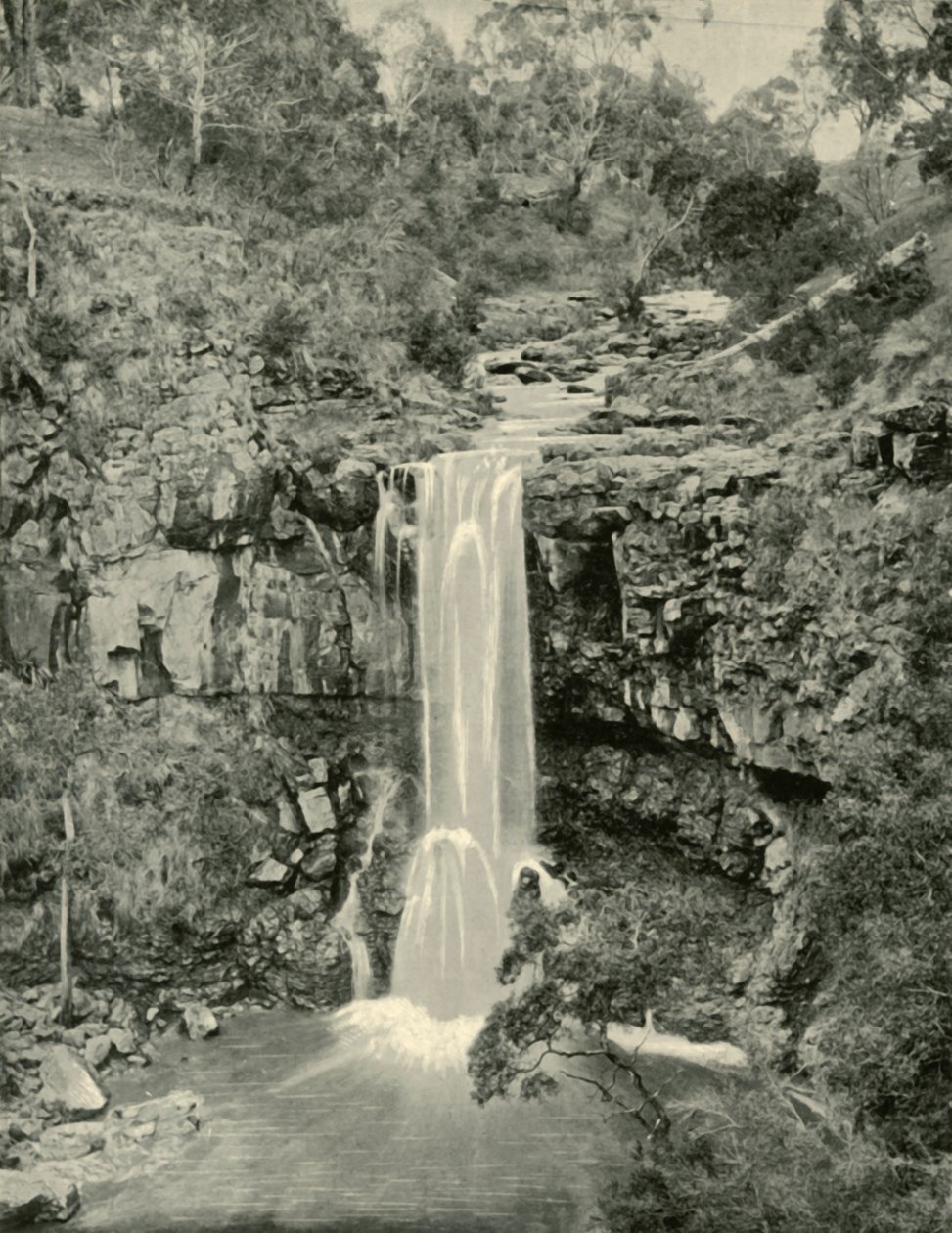 Moorabool Falls, Victoria, 1901 by Unbekannt