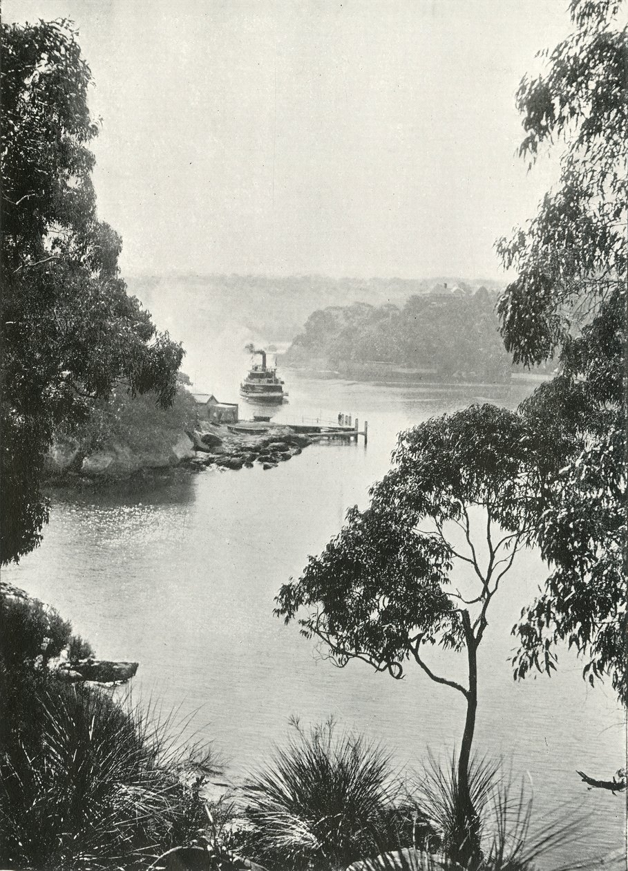 Mosmans Bay, from Cremorne Jetty by Unbekannt