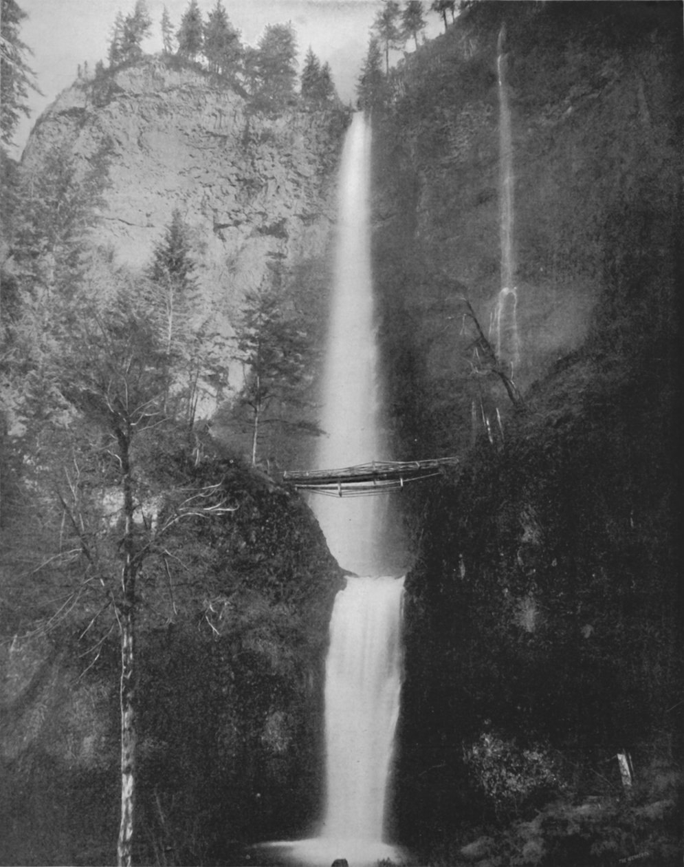 Multnomah Falls by Unbekannt