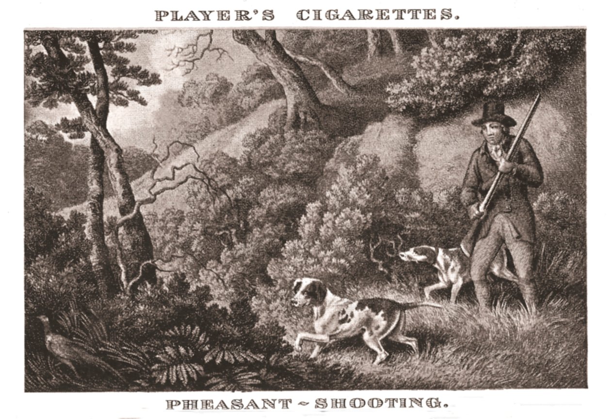 Pheasant-Shooting, 1924 by Unbekannt