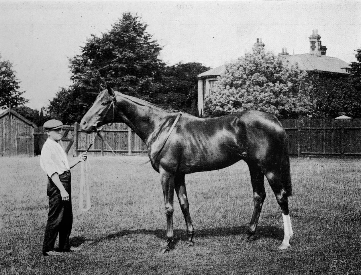 Polar Star, 1911 by Unbekannt