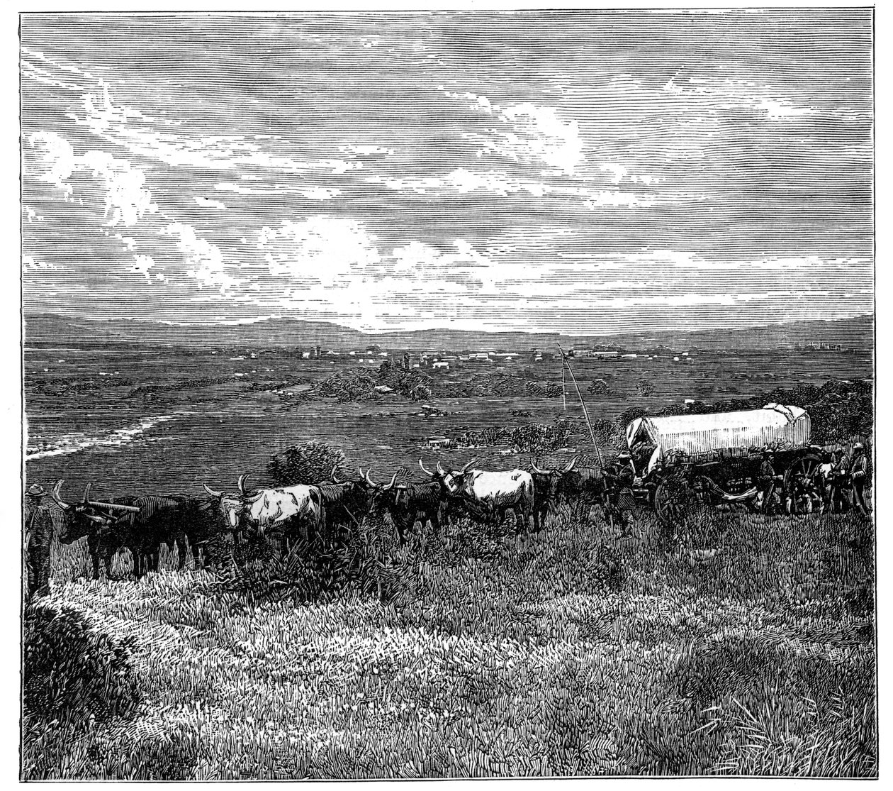 Pretoria, South Africa by Unbekannt